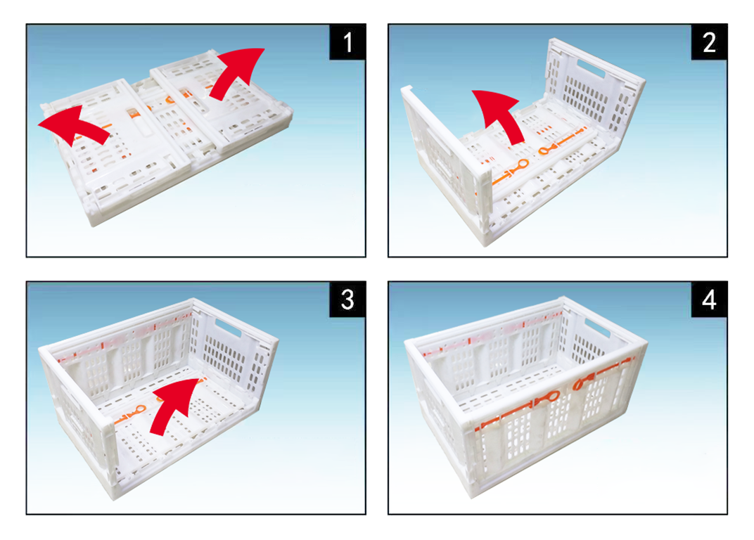 Folding Demonstration