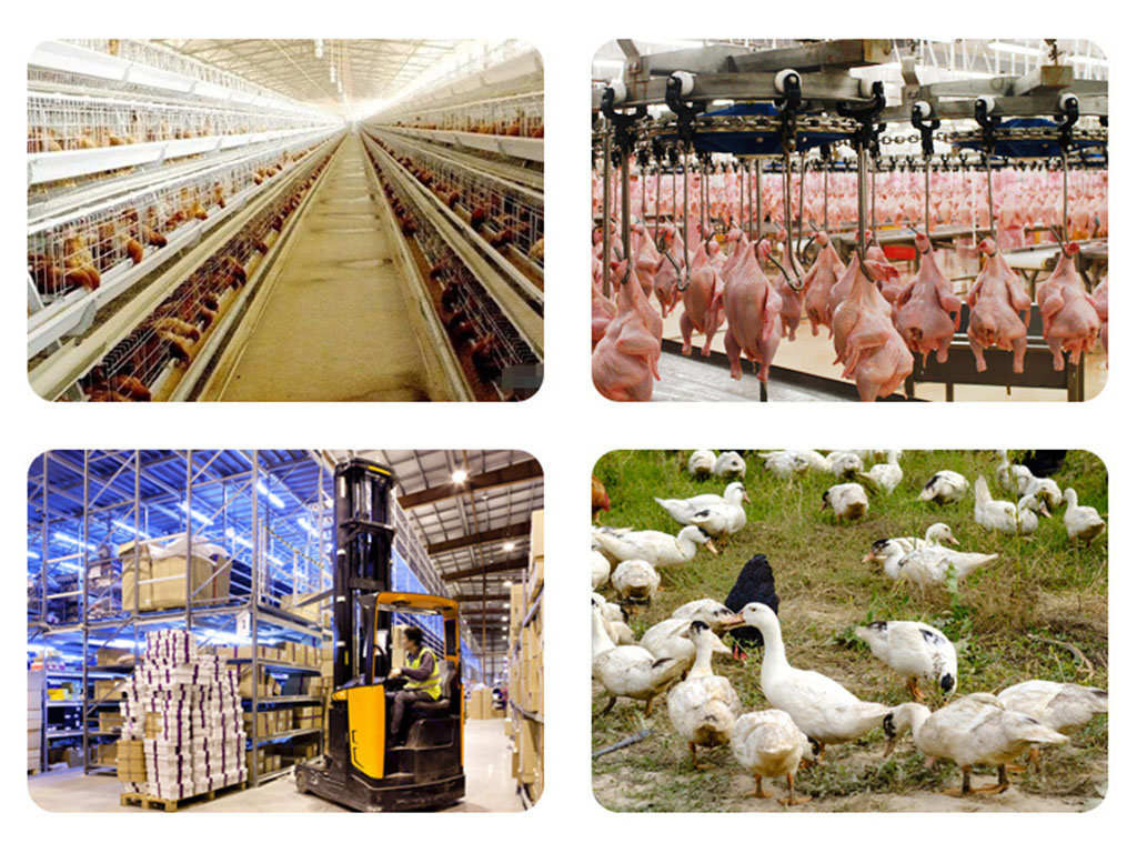 Application Scenarios