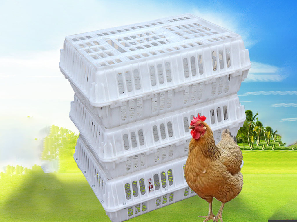 Poultry Transport Crates